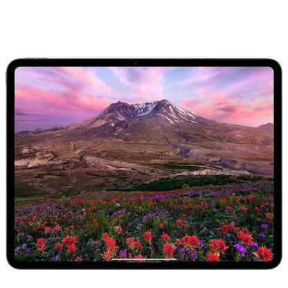 IPAD PRO 13INCH M5 WIFI+CELLULAR 512GB SPACE BLACK - CompuGhana