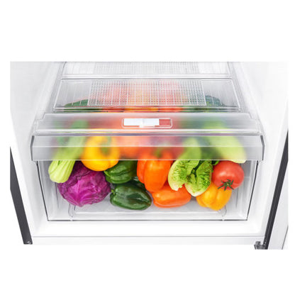 LG 187L GN-B202SQBB TOP FREEZER REFRIGERATOR - SILVER