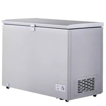 LG 309L GCFB316BQCF CHEST FREEZER - GRAY - CompuGhana