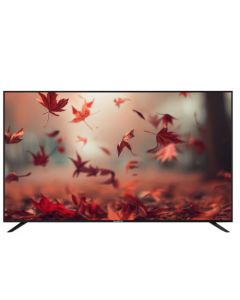 NASCO 32 LED DIGITAL SATELLITE TELEVISION - NAS-B32FBFL