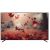 NASCO 32 LED DIGITAL SATELLITE TELEVISION - NAS-B32FBFL
