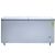 NASCO 600L NAS-850FL-DD  CHEST FREEZER