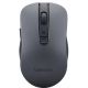 LENOVO WL310 BLUETOOTH SILENT MOUSE
